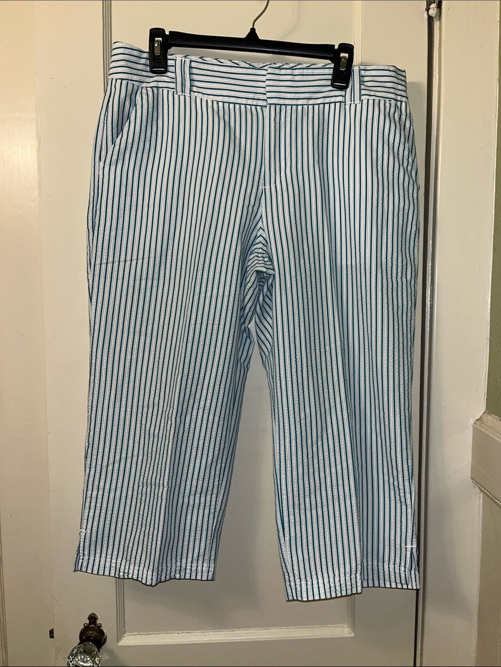 Striped Crop Pants in Aqua and White